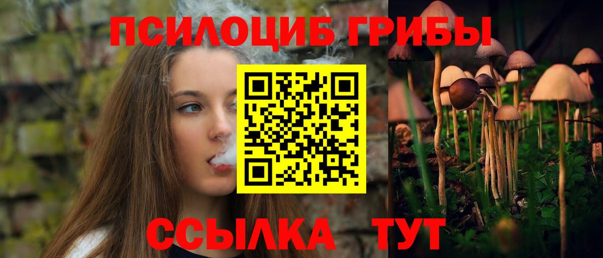 Галлюциногенные грибы GOLDEN TEACHER Чайковский